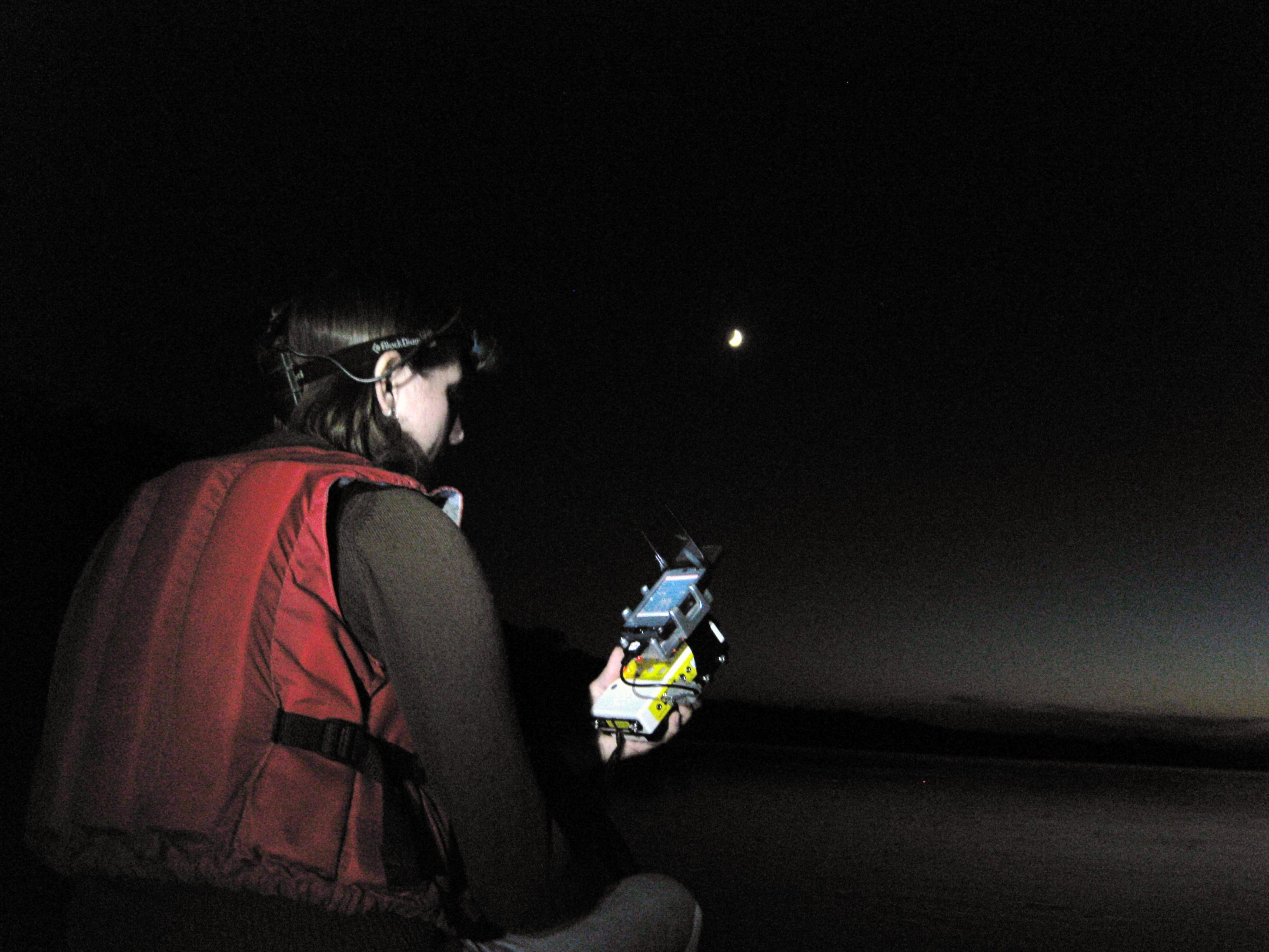 Boat Trips for Bat Monitoring: How Wisconsin Residents are Helping Bat ...