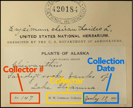 an herbarium (plant) specimen label and how the information is interpreted to fit various fields. Credit: https://transcription.si.edu/instructions-botany
