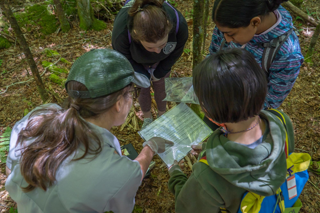 Monitoring for salamanders