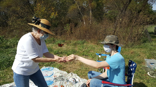 Volunteers releasing a tagged monarch