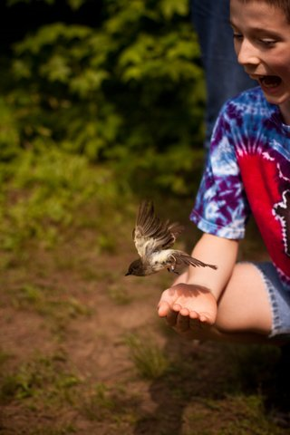 boy releasing a bird