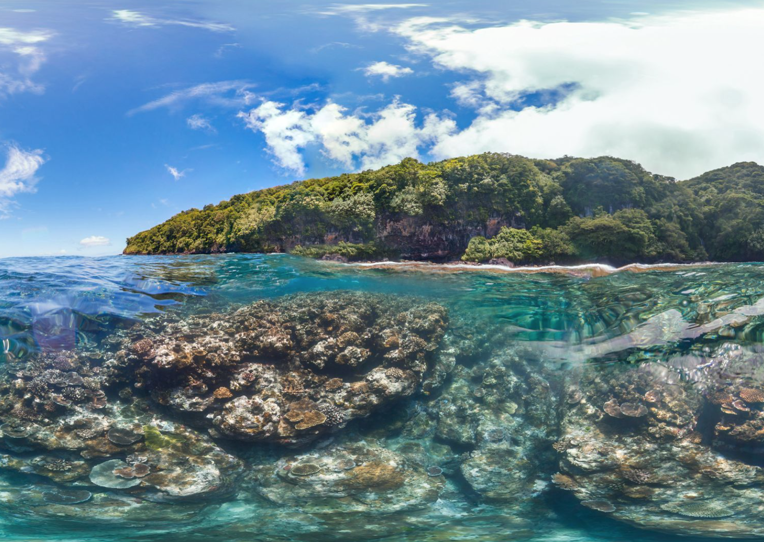 This image from the National Oceanic and Atmospheric Administration (NOAA) shows a cross-section of the undersea, land and sky at Tafeu Cove in American Somoa.