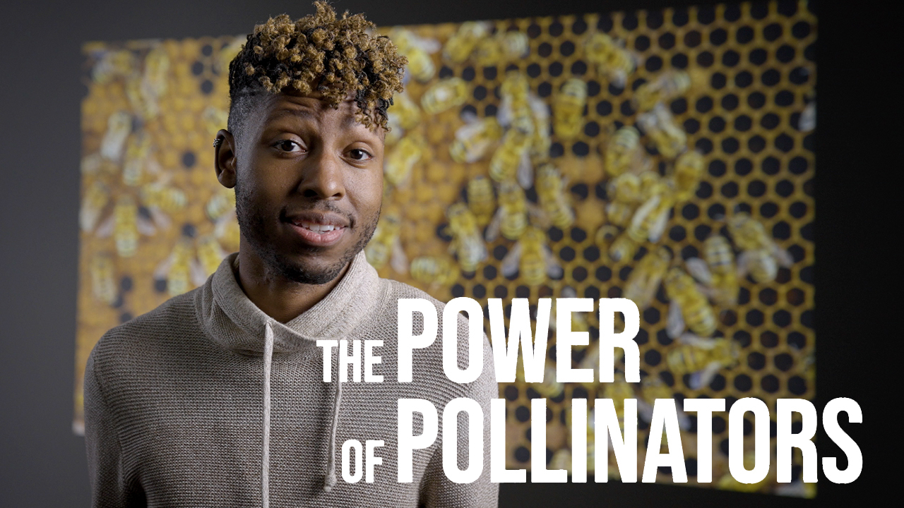 Dr. Samuel Ramsey, a young Black man in a white sweater. Text overlaid says, "The Power of Pollinators." The backdrop is bees in a hive.