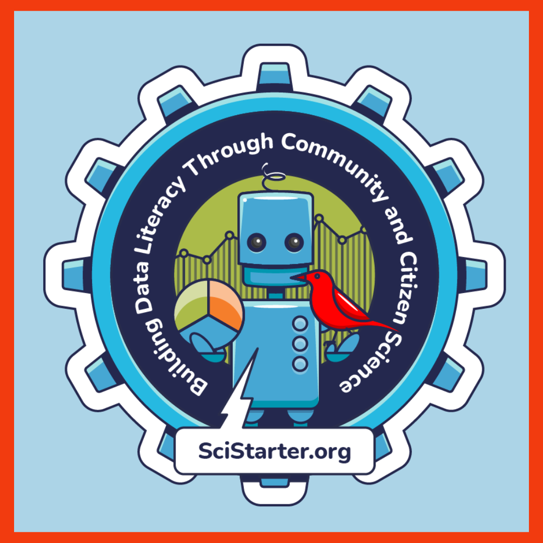 Data literacy training badge