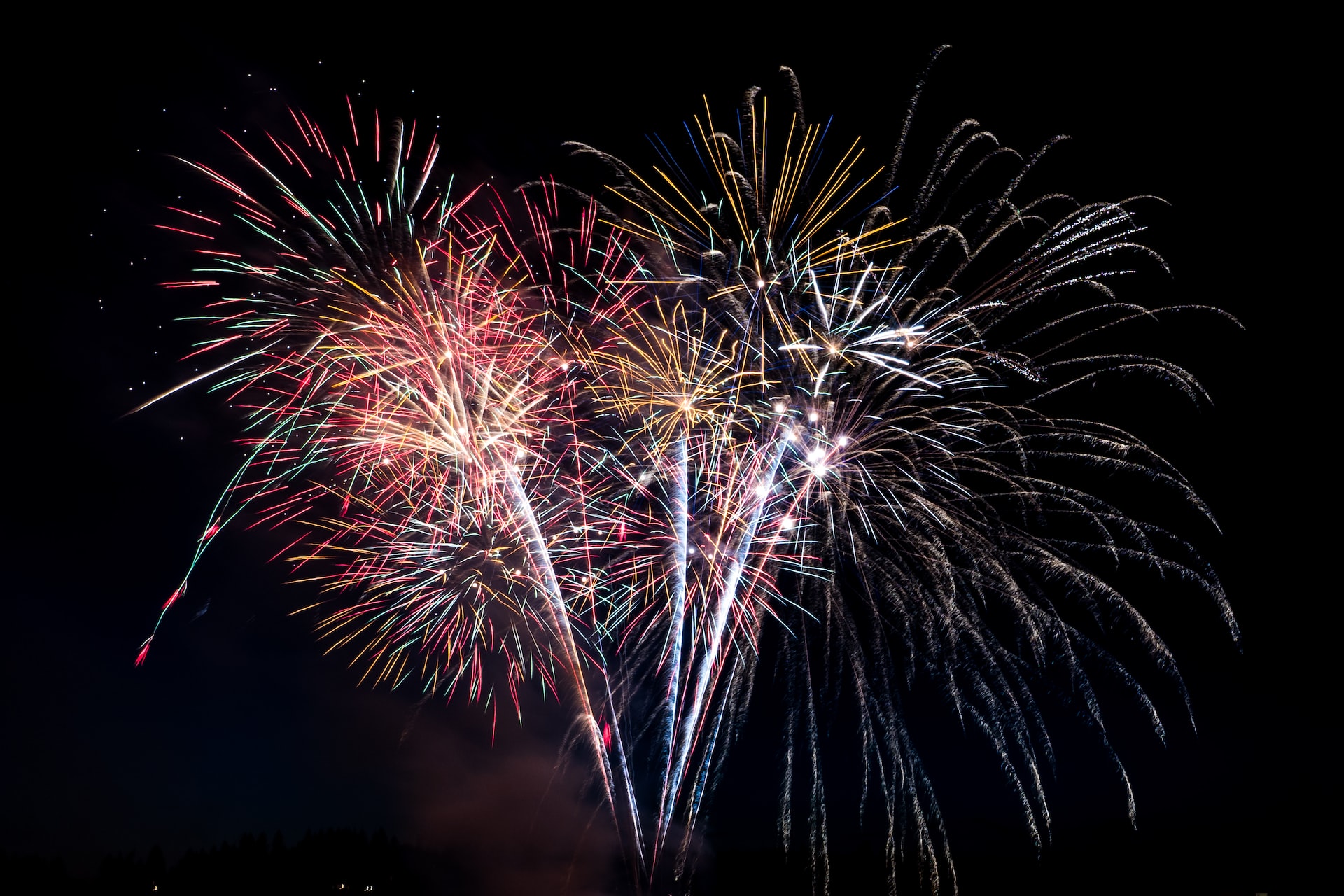 SciStarter 2022 Year in Review