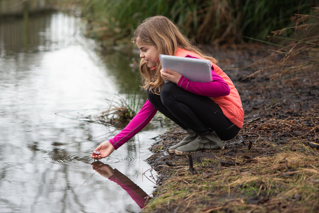 A young girl doing citizen science at a pond during Citizen Science Month.