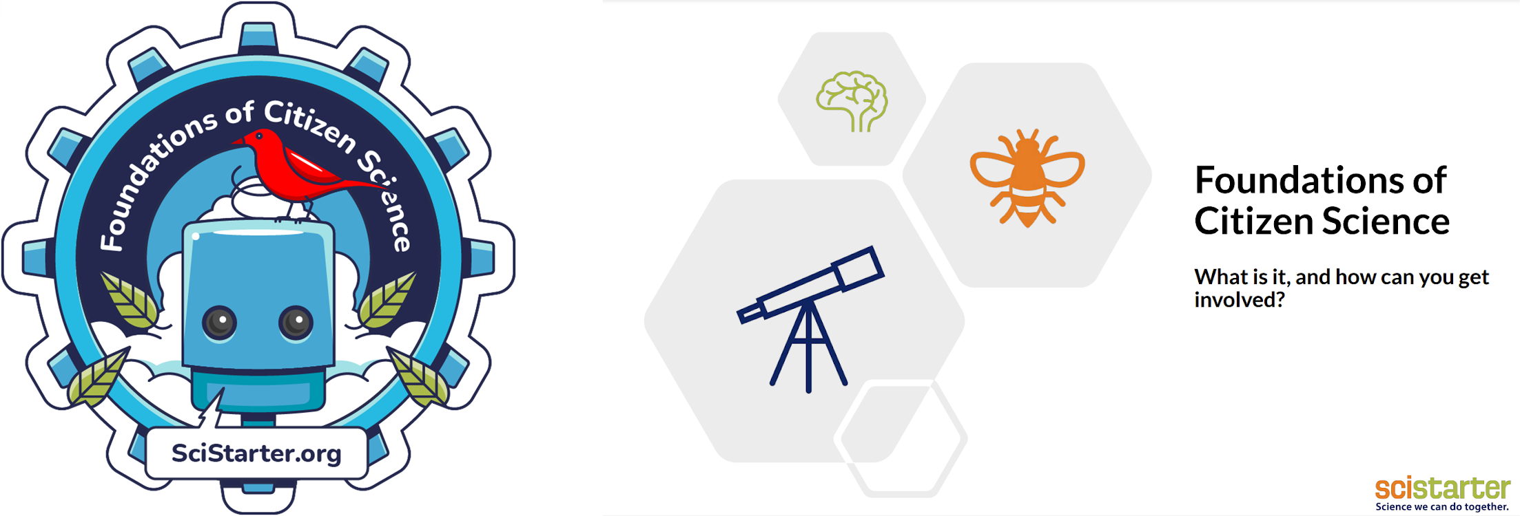 Foundations of Citizen Science badge and guide