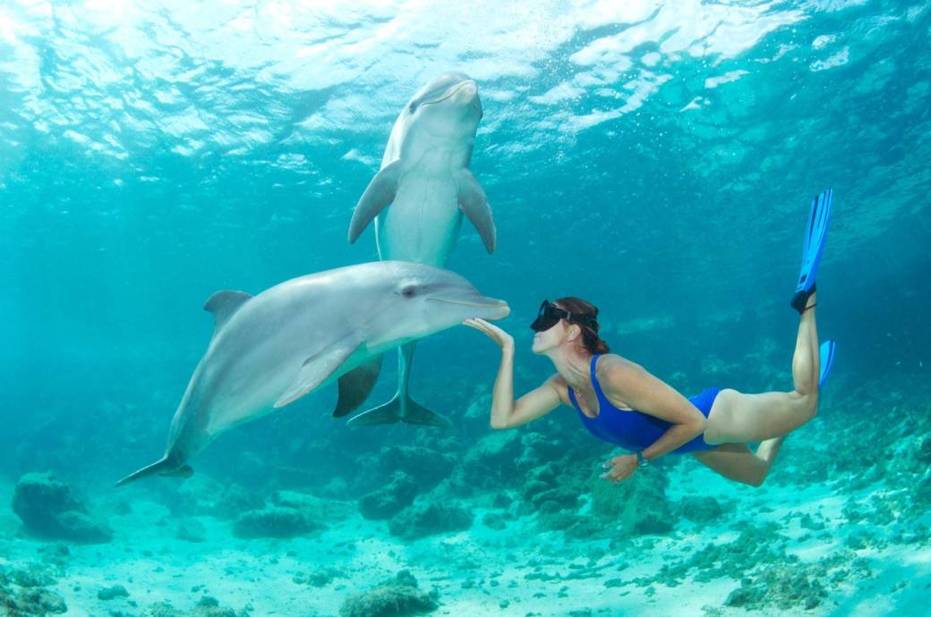 Underwater photo of woman facing a dolphin as if in conversation, with another dolphin watching from behind