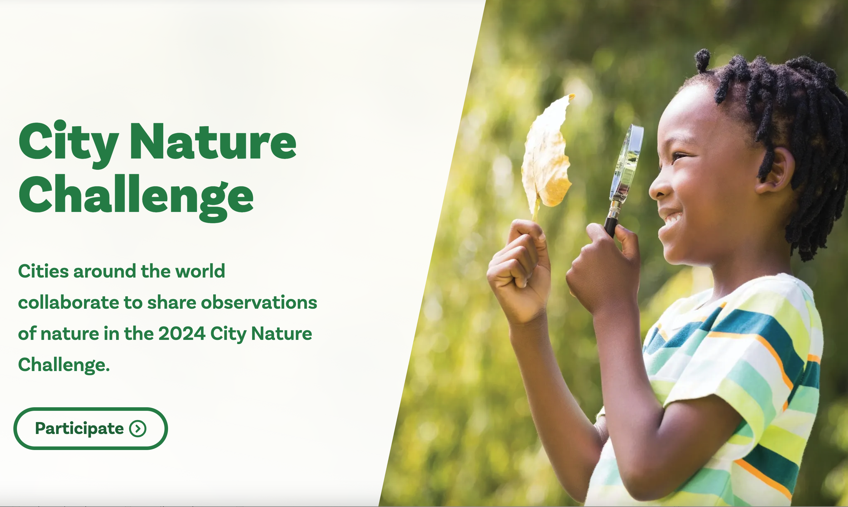 Screen shot of City Nature Challenge home page, with an image of a child using a magnifying glass to observe a leaf.