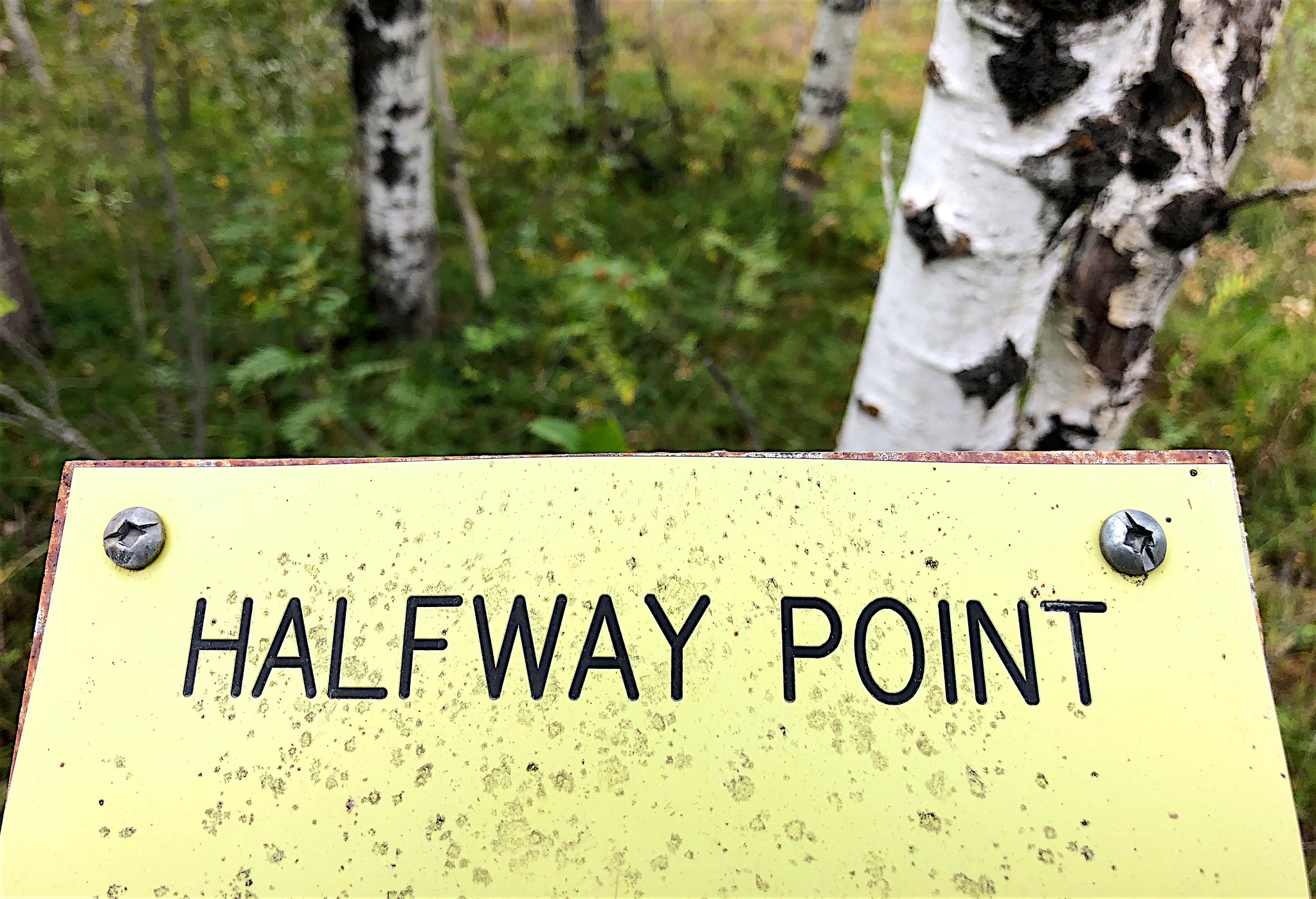 Photo of an old metal sign along a trail reading "Halfway Point."