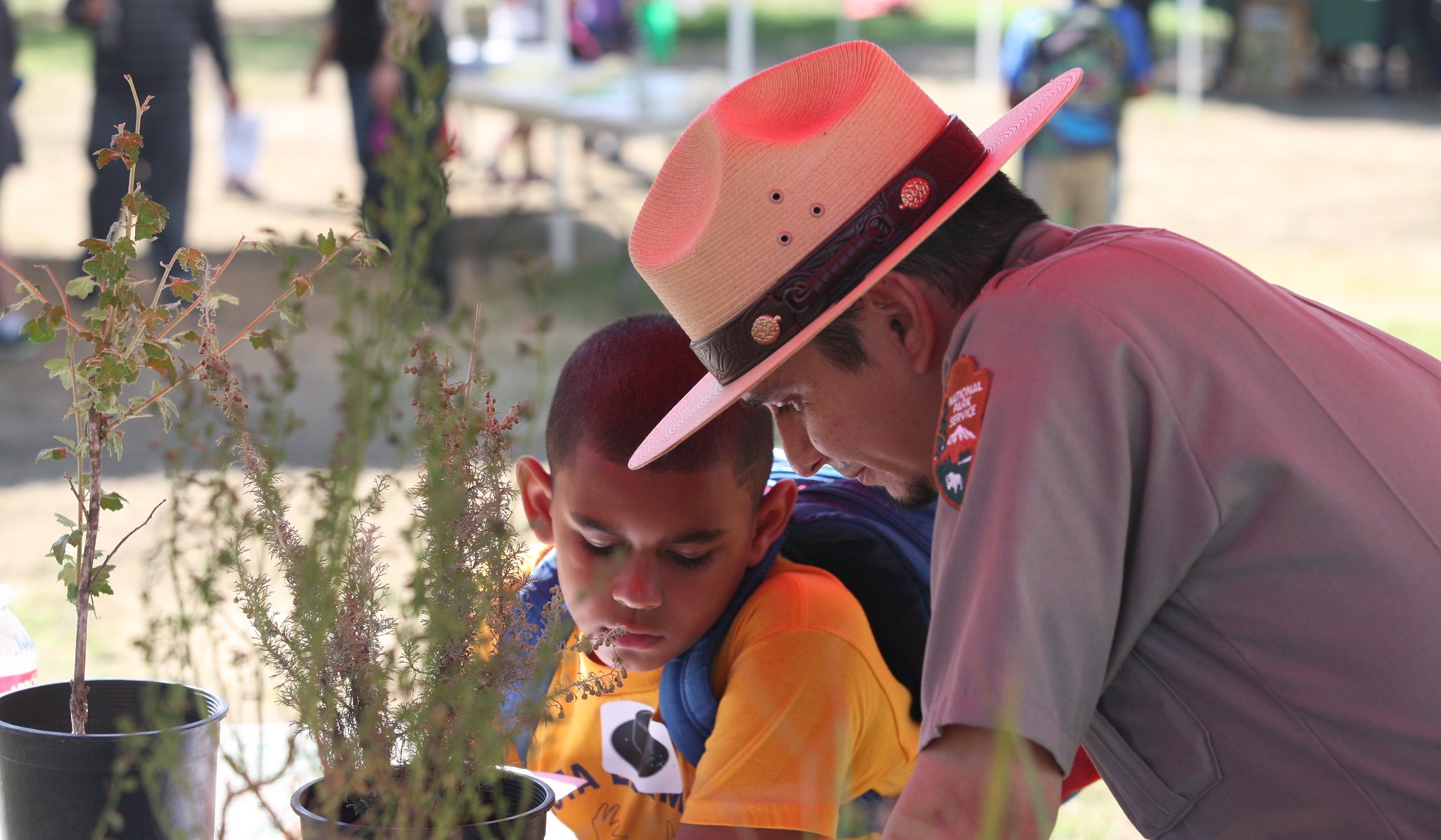 Park ranger and adolescent boy examine some potted plants