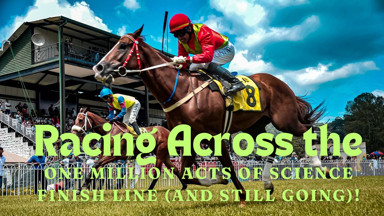 Photo of race horses crossing a finish line