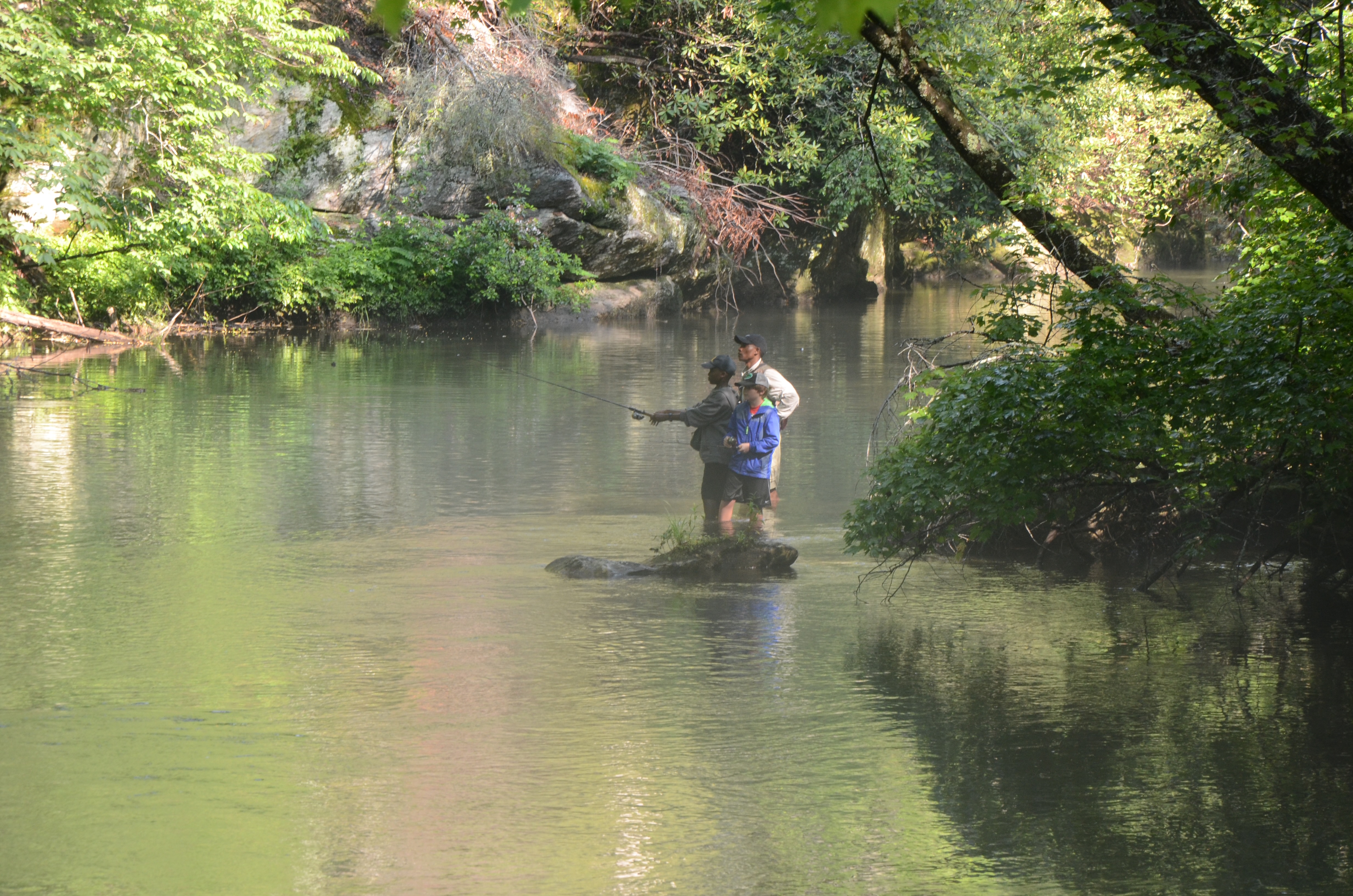 Three men stand in a stream, fly fishing.
