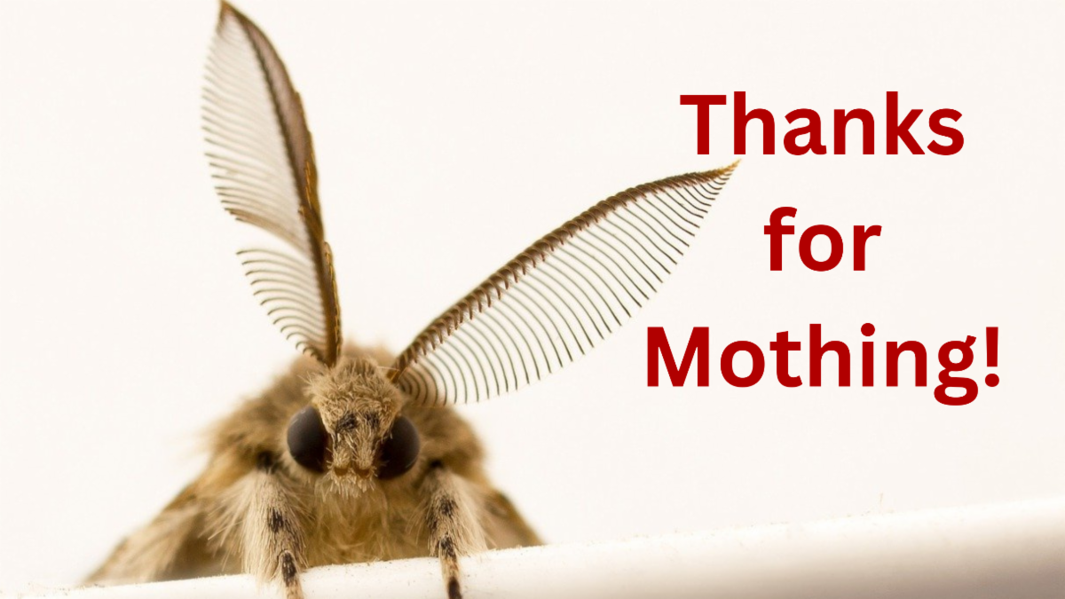 Much Ado About Mothing