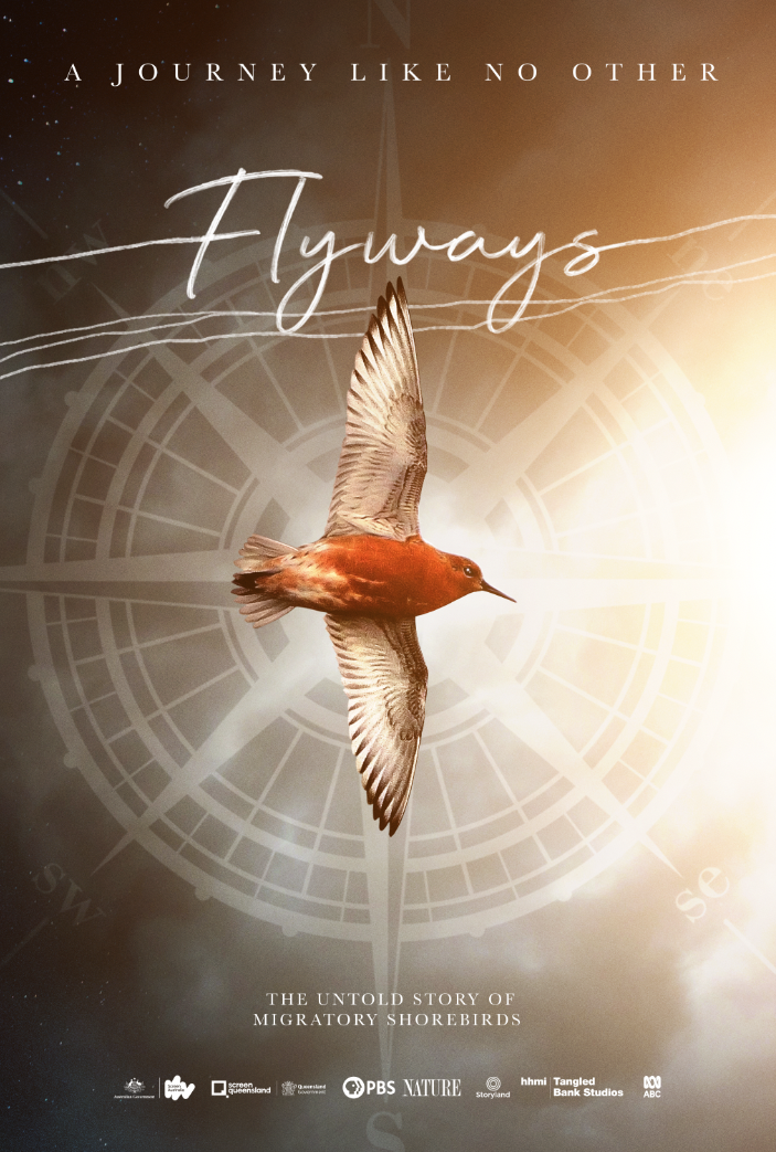 Take Flight with Flyways: Libraries and Others Across the Nation Soar into Bird Citizen Science