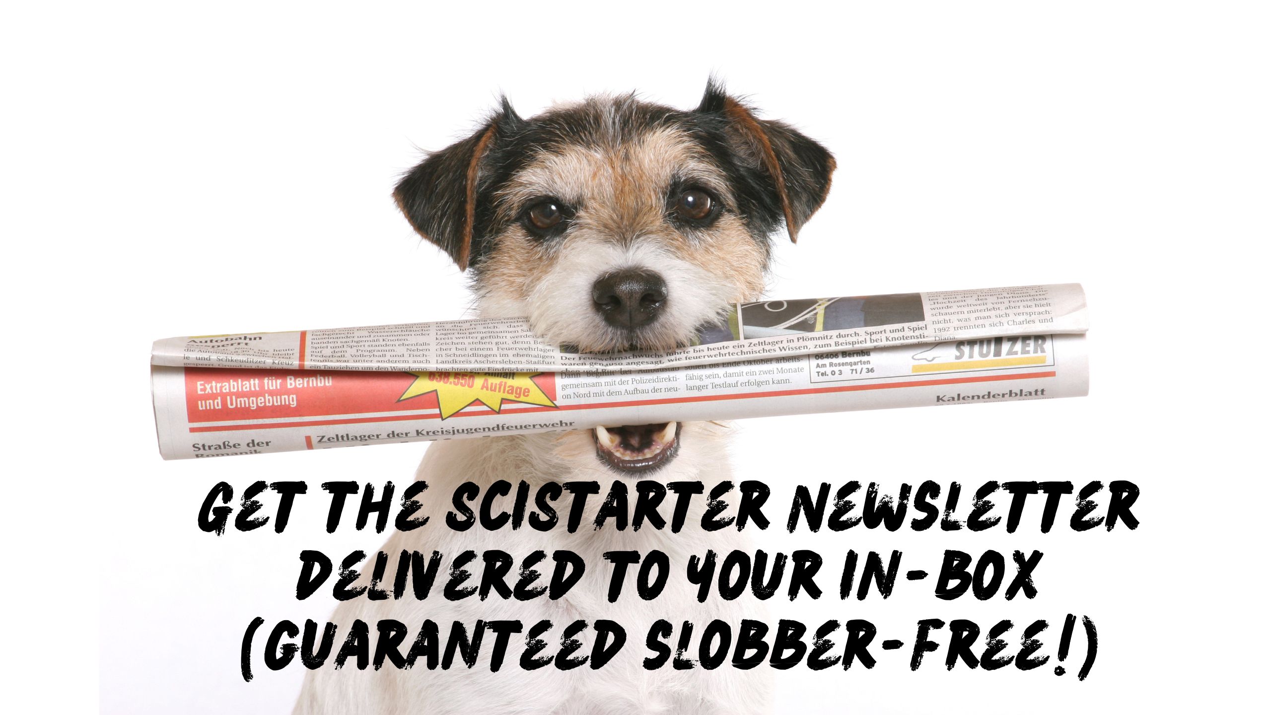 Terrier holding a newspaper in its mouth, with invitation to subscribe to the SciStarter newsletter.