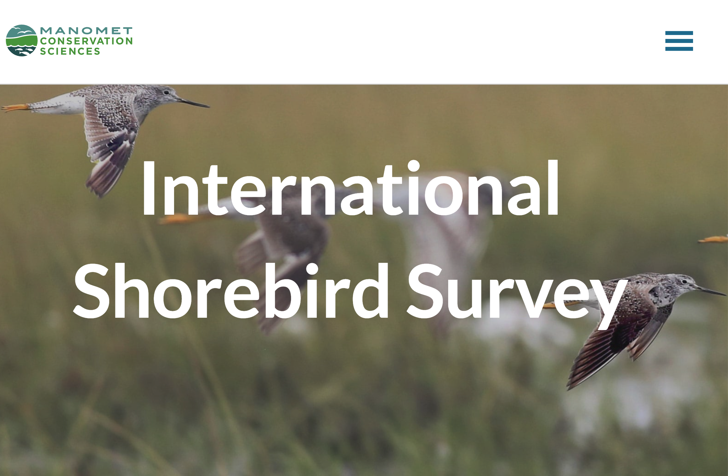 Screen shot of two shorebirds from International Shorebird Survey
