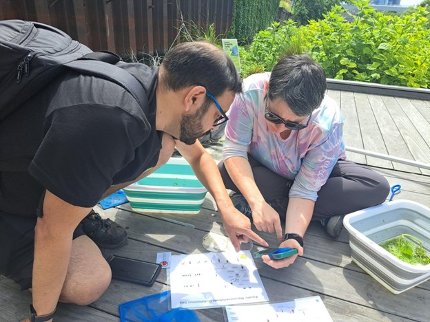 A man and a woman sit on the ground, both looking at a phone, ostensibly at a photo that was just taken. Rectangular tubs, one with vegetation, nets and a field guide are on the ground. The man is pointing to something on the phone. Attribution-NonCommercial-ShareAlike 4.0 International (CC BY-NC-SA 4.0)