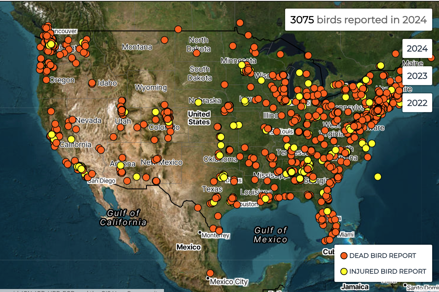 Map of U.S. showing incidents of bird death and injury due to building collisions