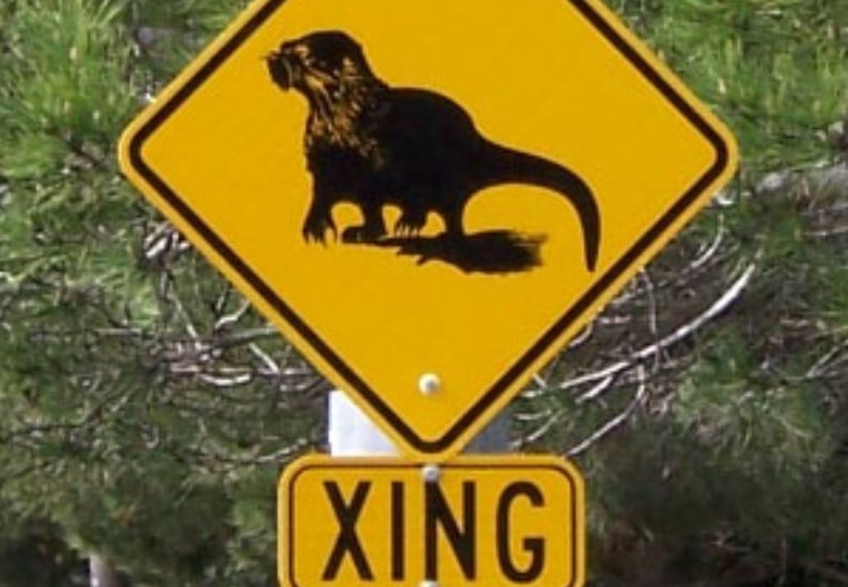 Small mammal crossing sign