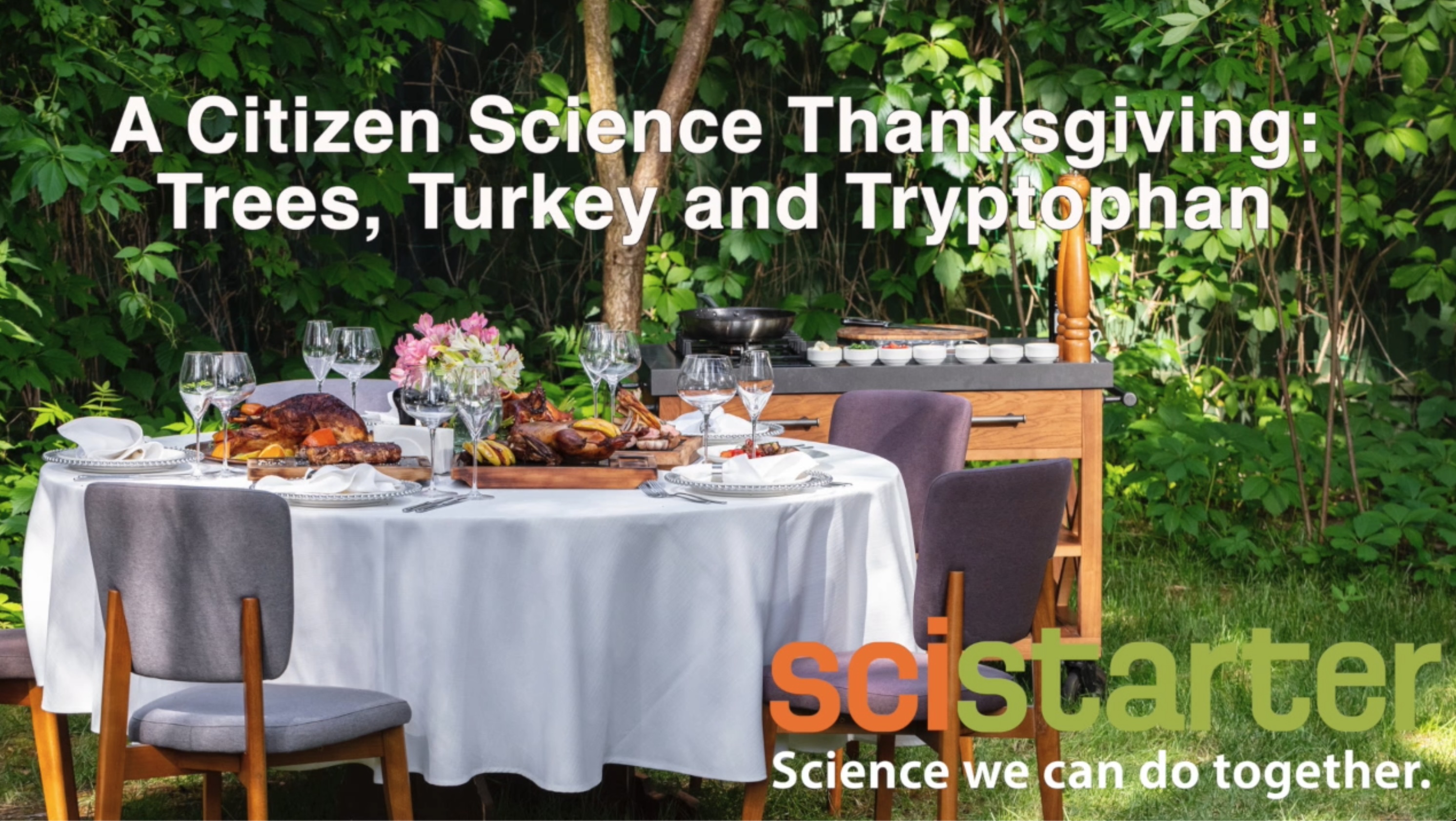 Outdoor feast table with podcast title: Citizen Science Thanksgiving: Trees, Turkey and Tryptophan