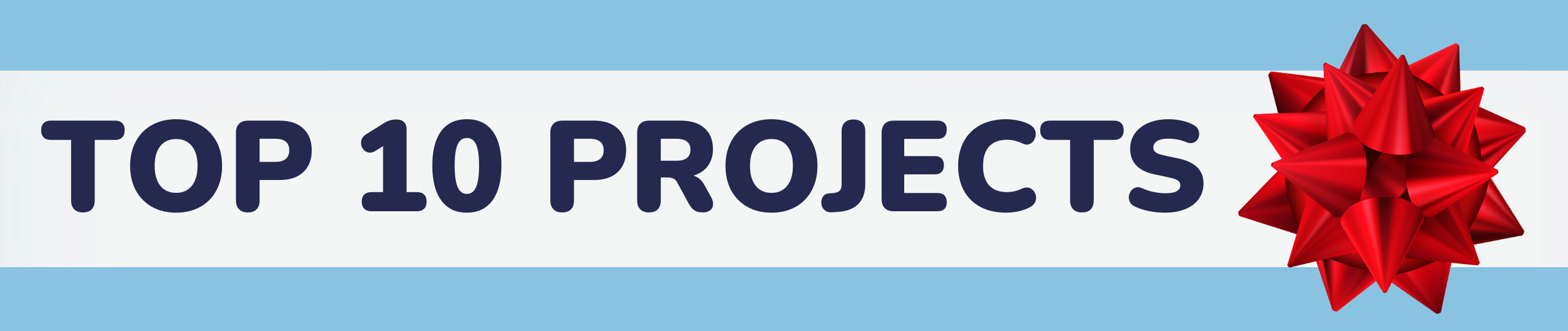 Banner reading Top Ten Projects