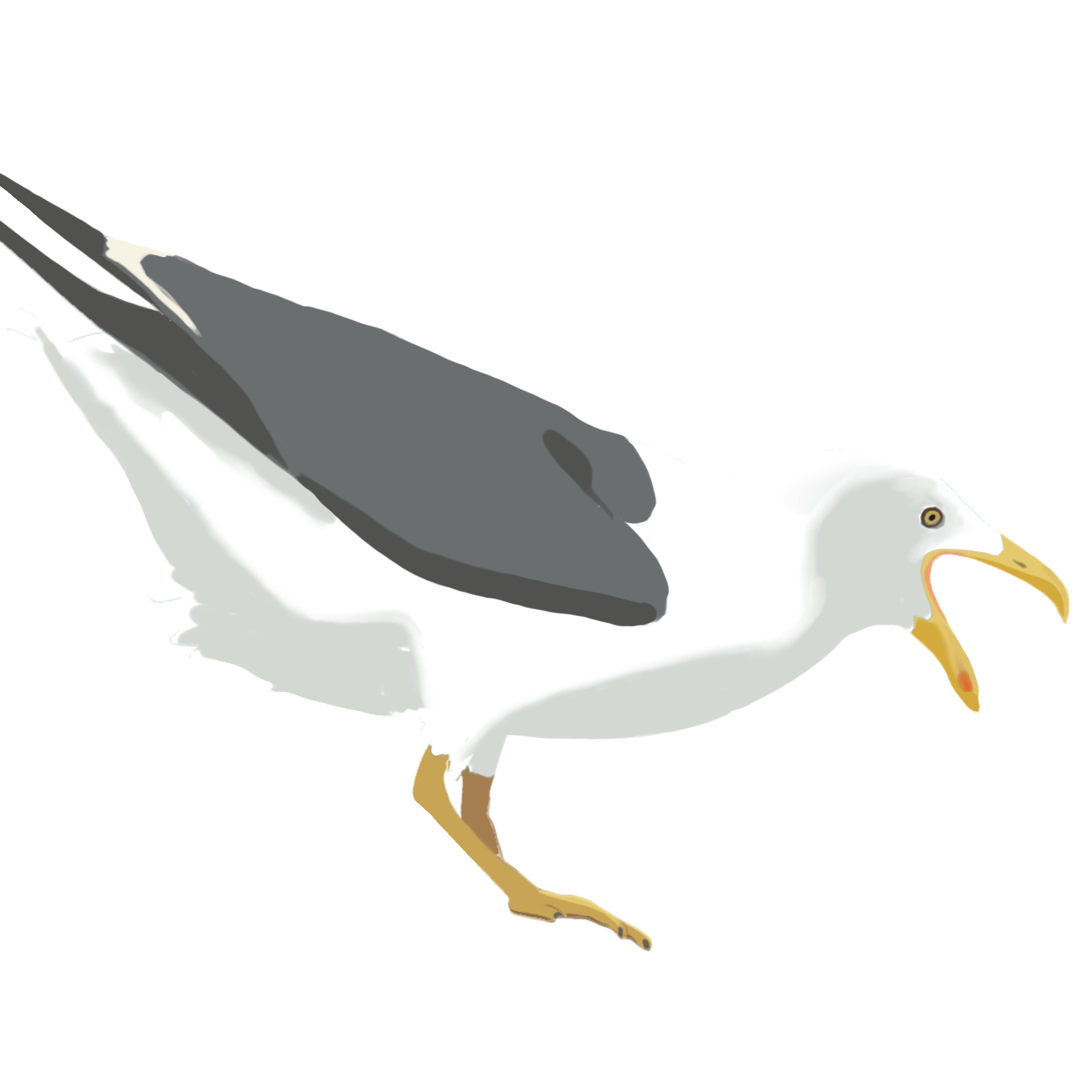 gulls eating stuff logo
