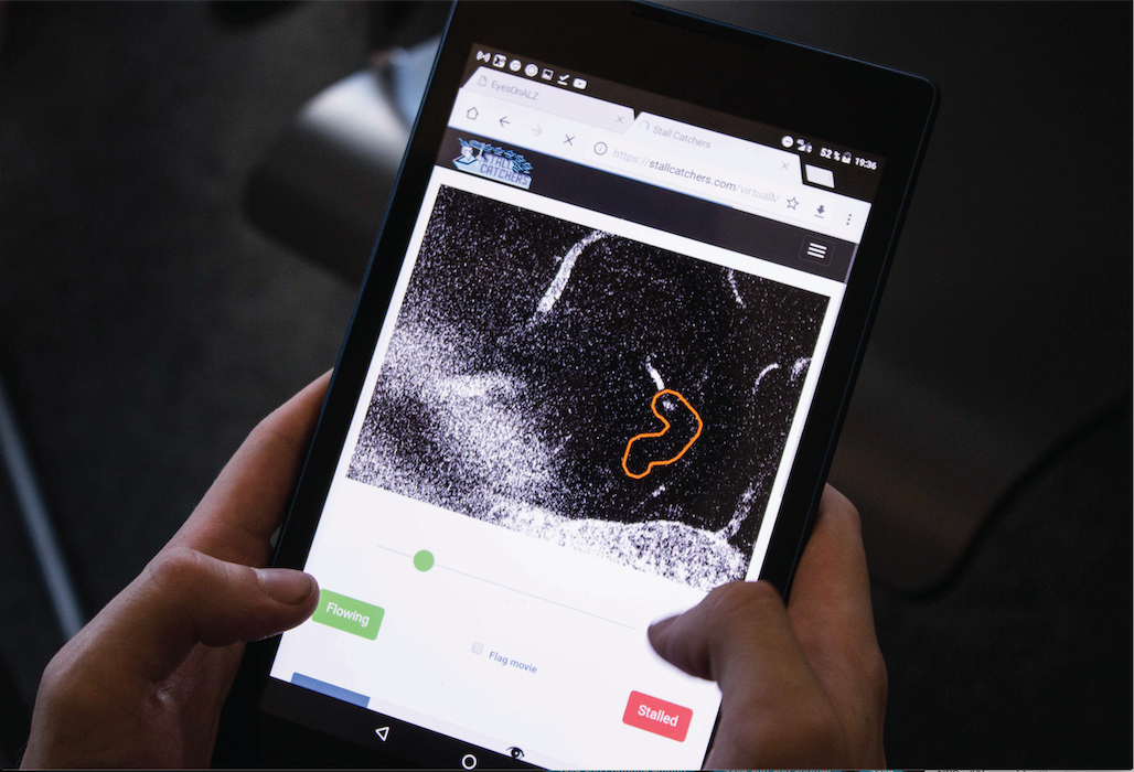 online game on mobile device