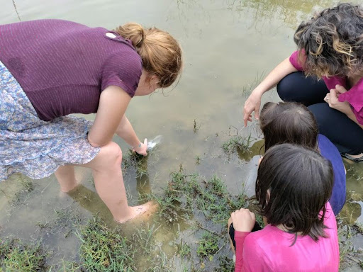 four people in shallow water placing waterbottle with a tample into the water to collect water quality results.