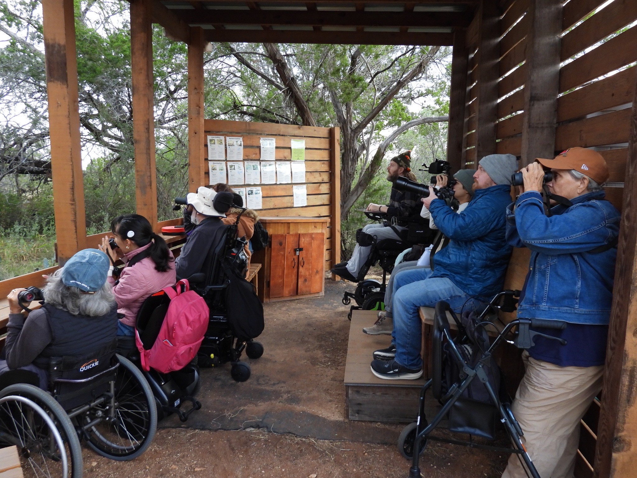 Image depicts a bird blind, wood floors and roof. Two tiers of birders using the blind, one group close to the railing in wheelchairs/walkers with the chair in use, and a second tear against the back wall with various mobility devices or none in use. 