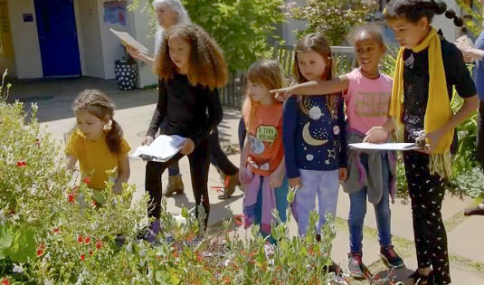 students collecting bee data
