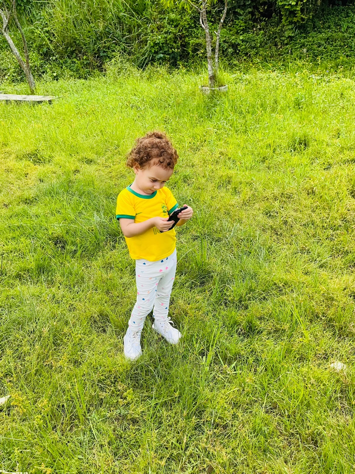 From Our Backyard to Space: How One Brazilian Family Discovered Citizen Science